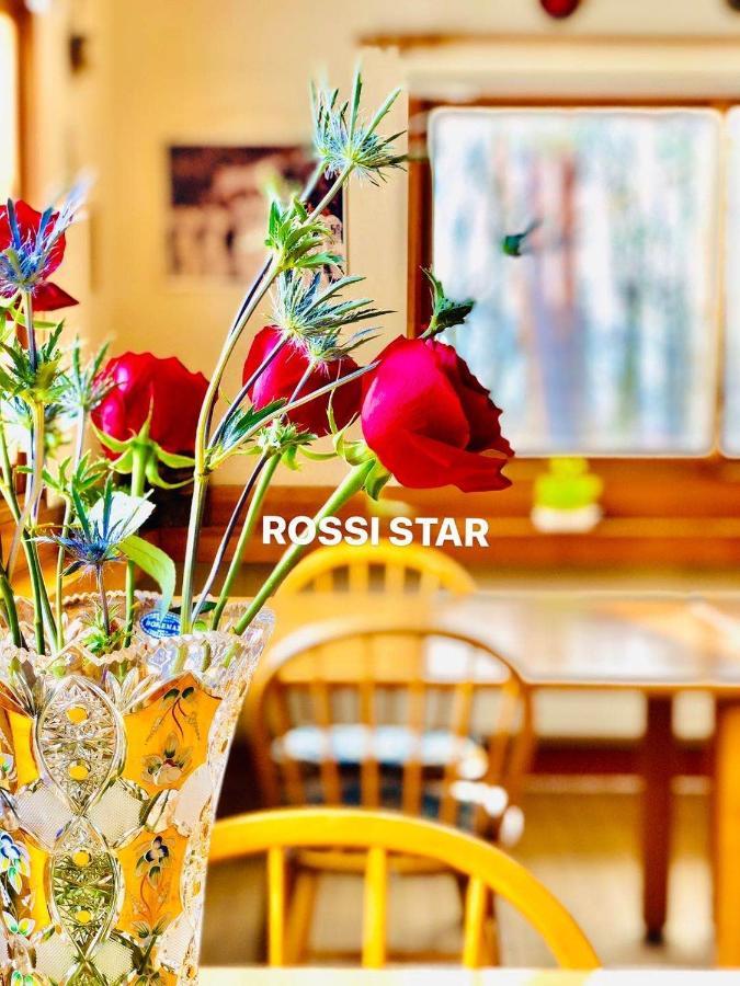Rossi Star Apartman Hakuba Kültér fotó